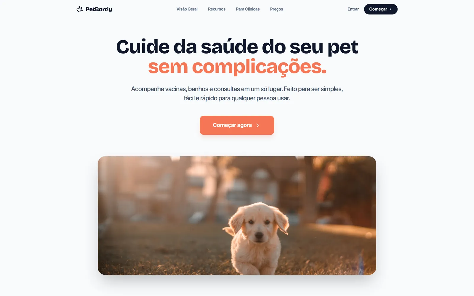 Página inicial do PetBordy, com o título "Seu pet merece cuidado organizado todos os dias" sobre fundo verde, ao lado da foto de dois cães correndo.